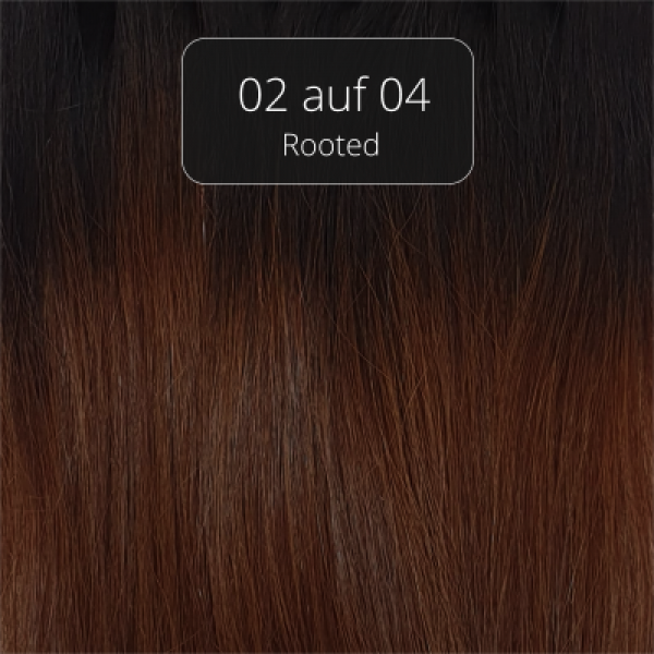 Rooted Natural Ends